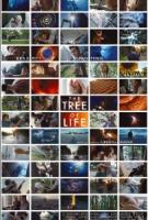 The Tree of Life